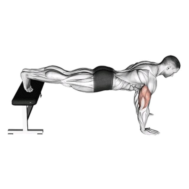 Get Ripped from Doing Push Ups