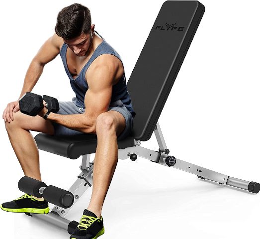 Flyfe Adjustable Strength Training Fitness Bench
