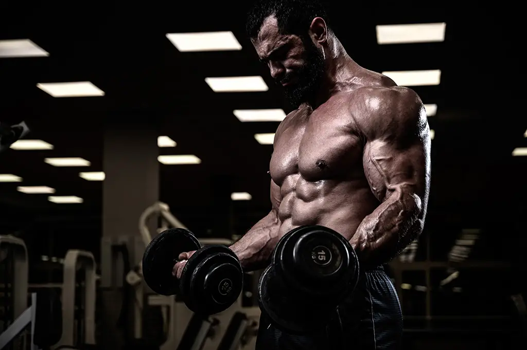 Who Should Use the Bro Split?