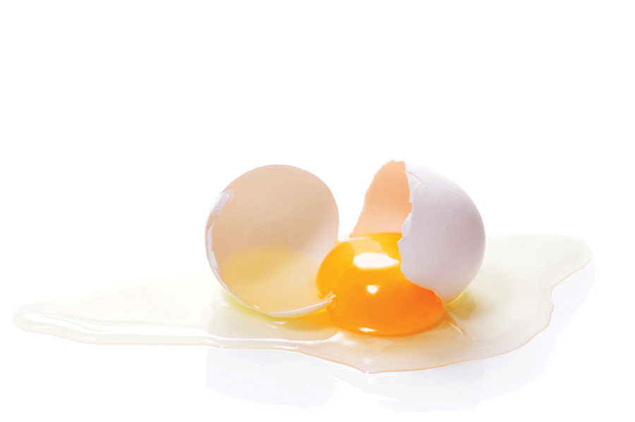 Liquid Egg Whites and Egg White Protein
