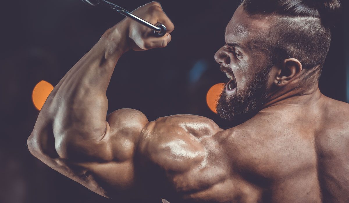 Do SARMs Increase Muscle Growth?