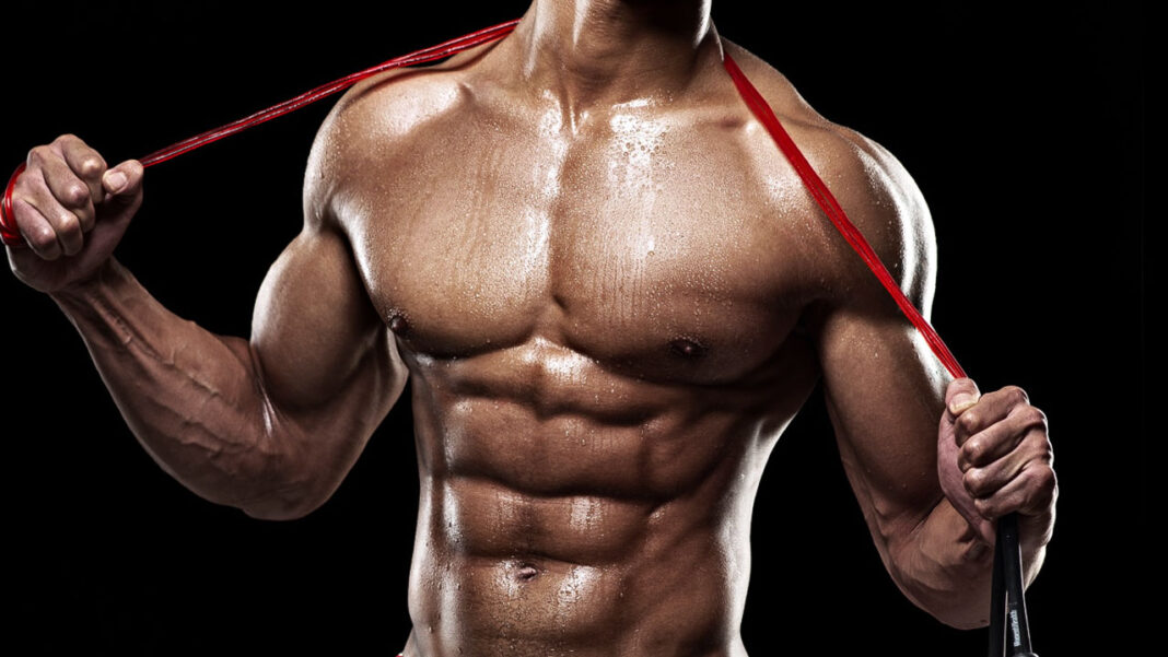 Workout Tips For Beginners Who Want to Build Big Muscles