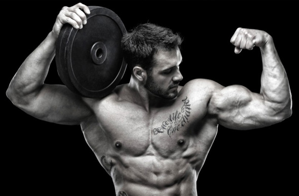 Workout To Build Muscle