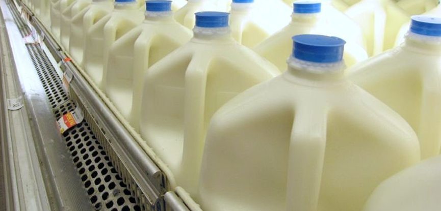 The Gallon Of Milk A Day
