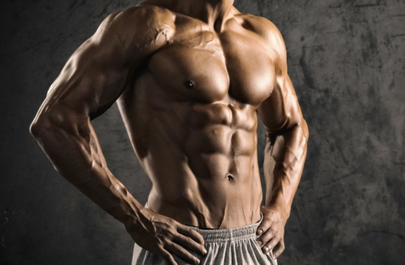 Beef Organ Supplements Benefits For Bodybuilding