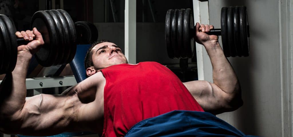 PHUL Workout Good For Building Muscles