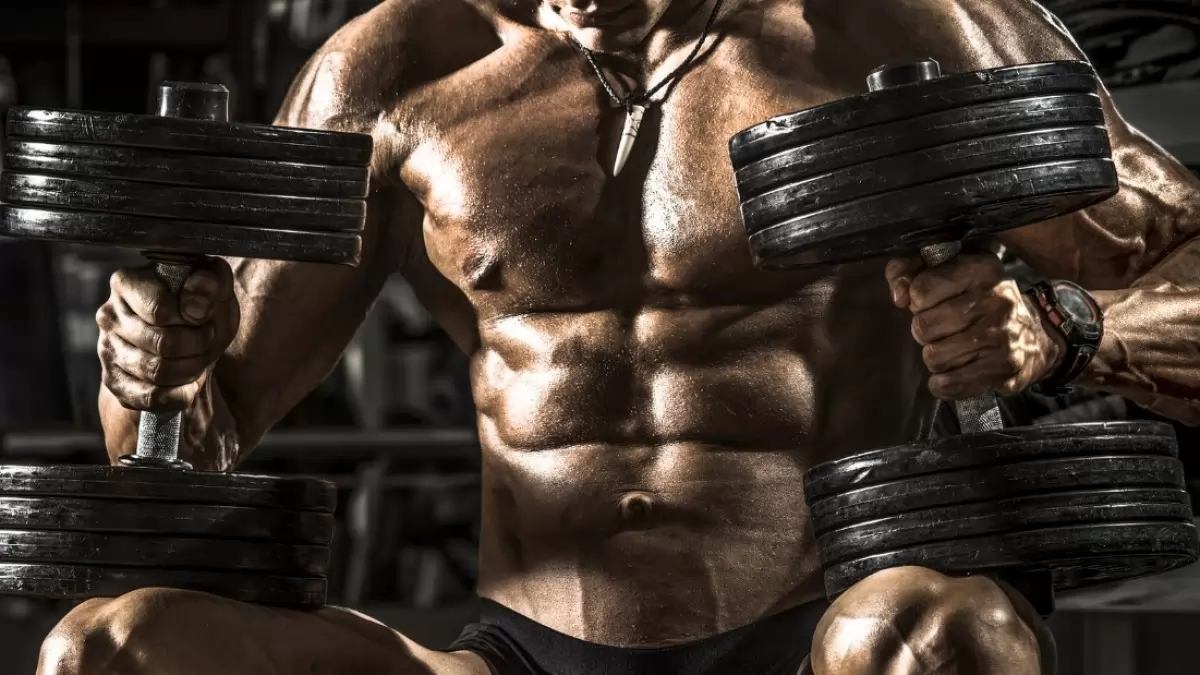 Who Should Use the Bro Split?