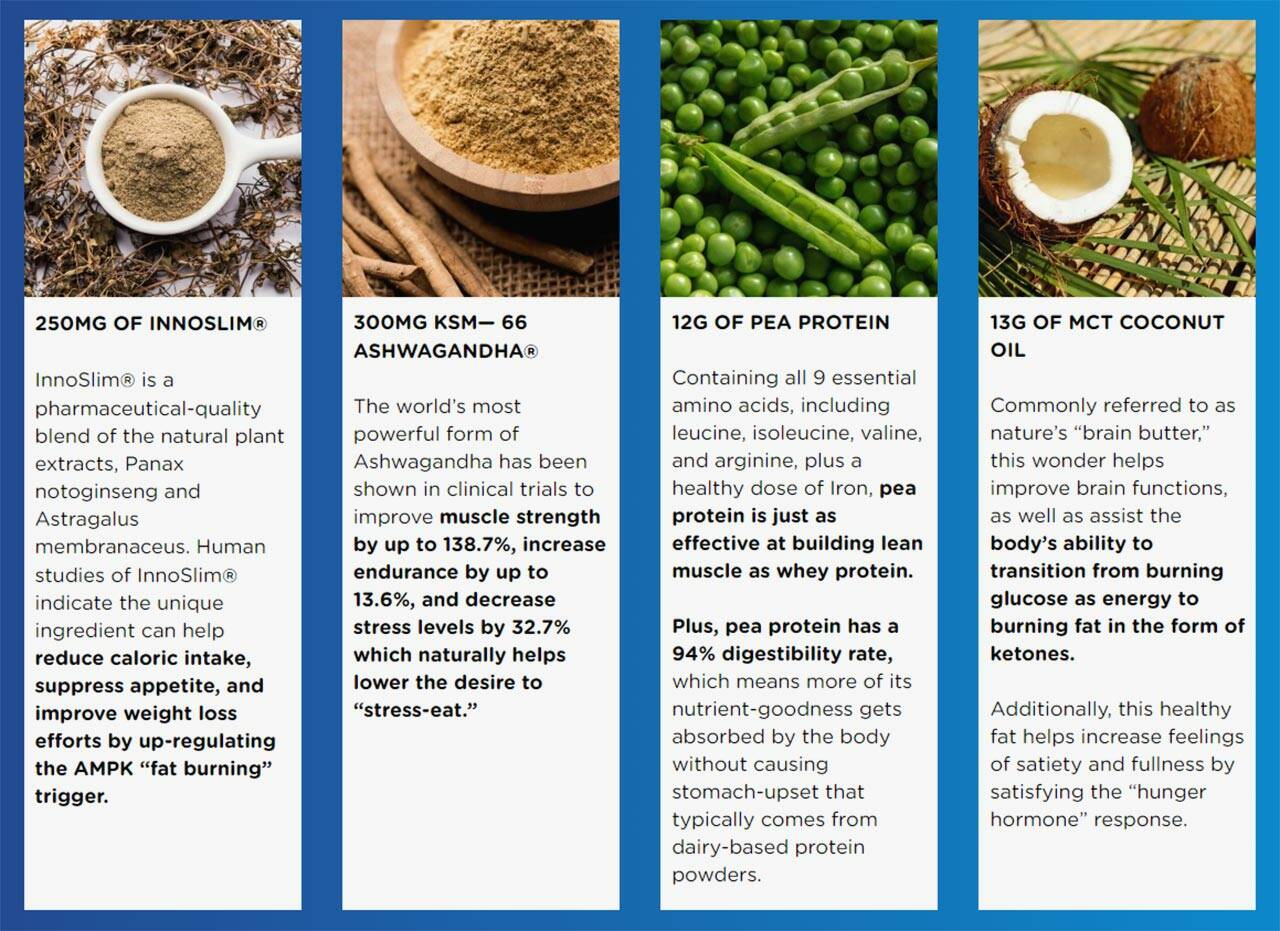 Meal Replacement Shake