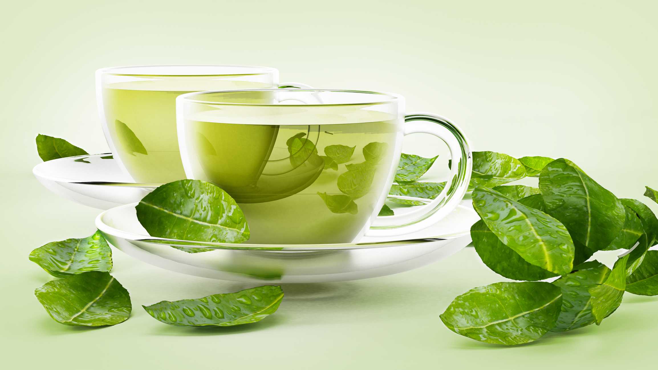 Green Tea - Metabolism