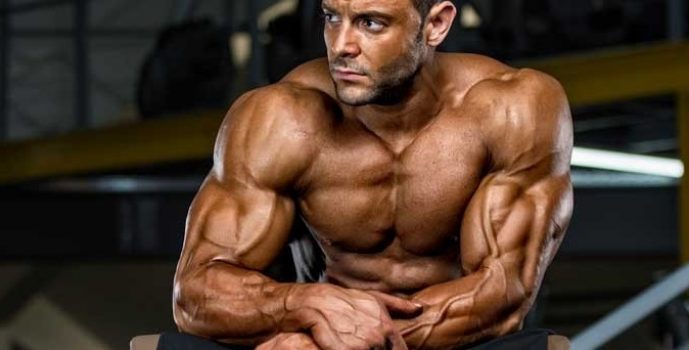 Why Is Plant Protein Better Than Meat Protein?