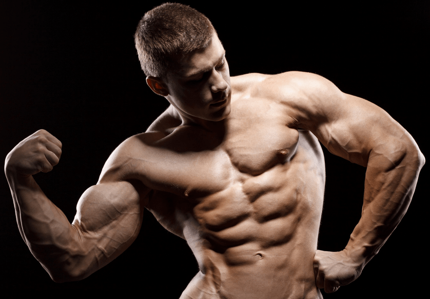 Ultimate Muscle Builder