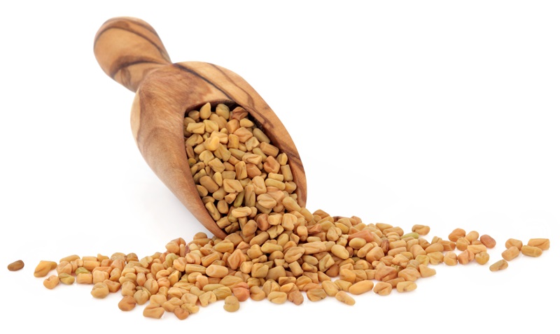 Fenugreek