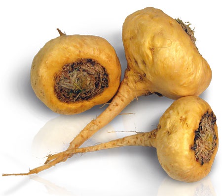 Maca - Building Muscle
