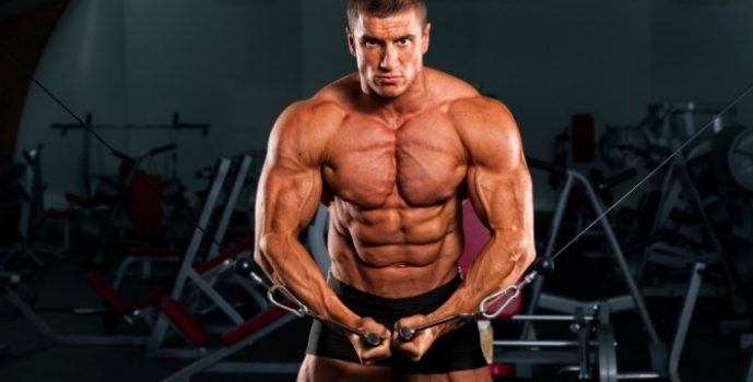 Duration Of SARMs In Your System