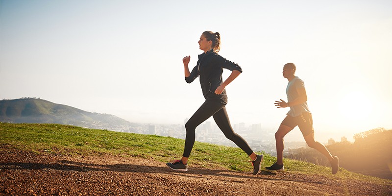 Components of Physical Fitness