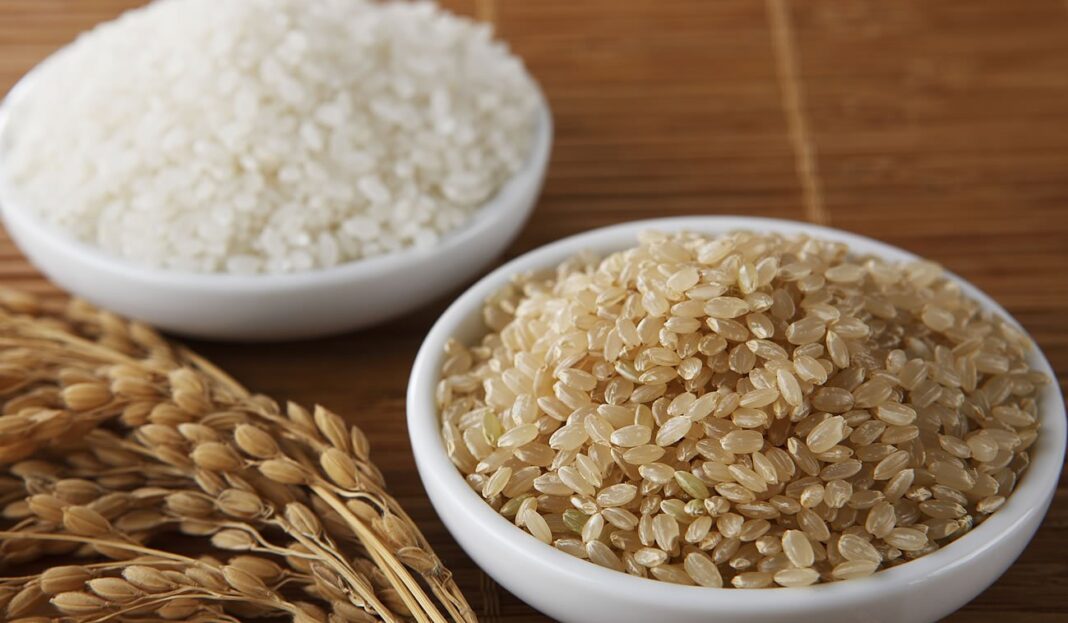 Most Popular Types of Rice For Bodybuilders