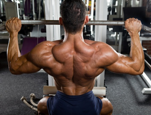 Back Development