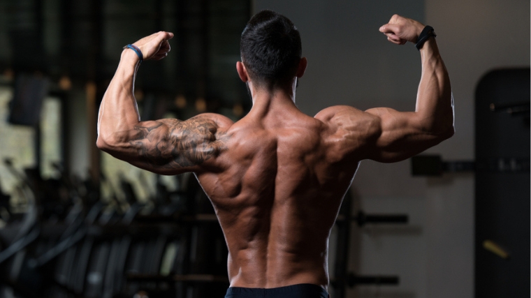 Training Splits for Recovery