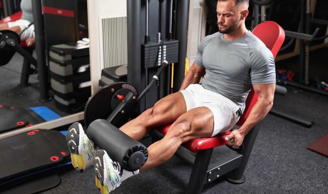 Push Pull Legs Routine