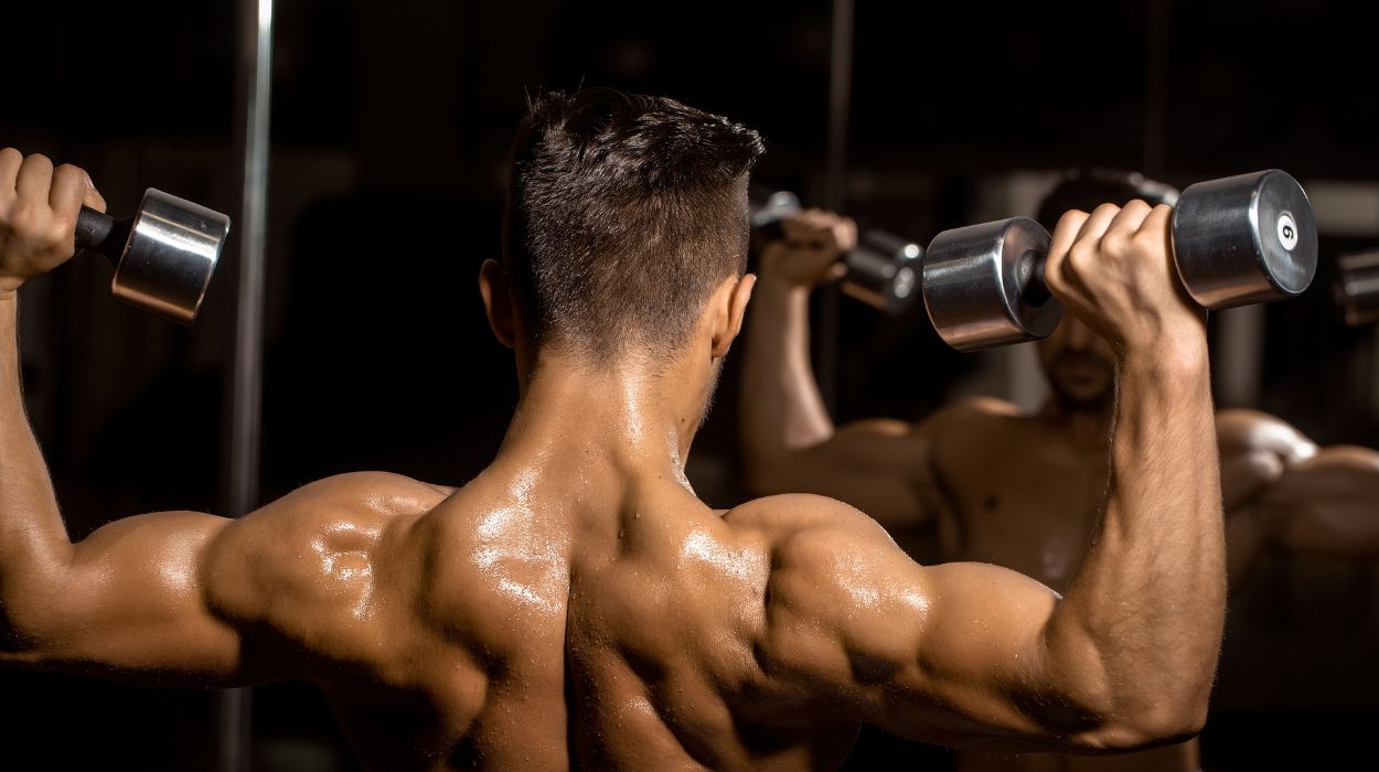 Split Comparison for Shoulder Development