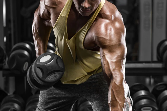 What Protein Does for Muscle Growth