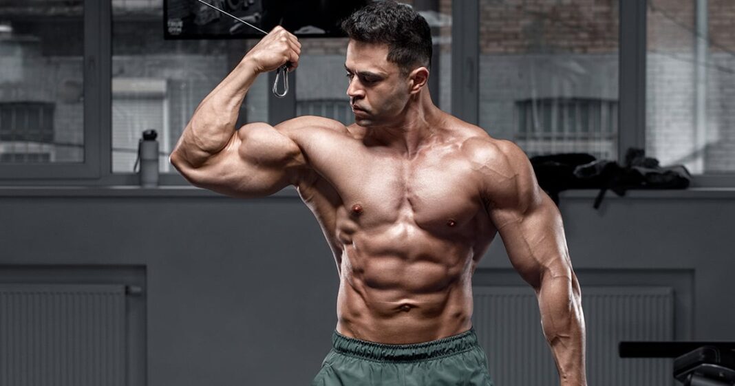 The Role of Fats in Muscle Growth