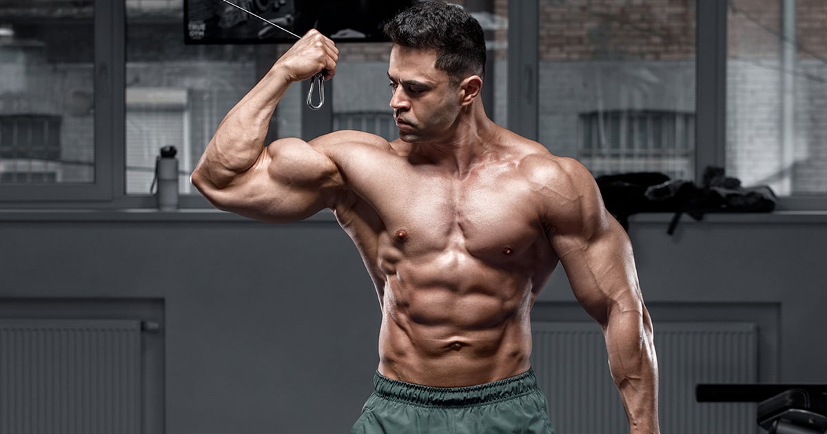 The Role of Fats in Muscle Growth