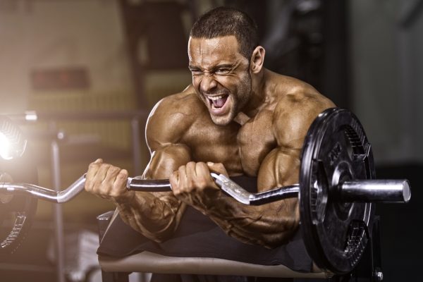 The Science of Training Splits