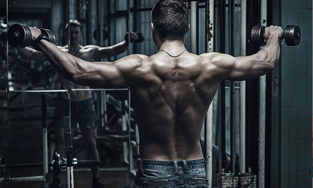 Training Split for Muscle Growth