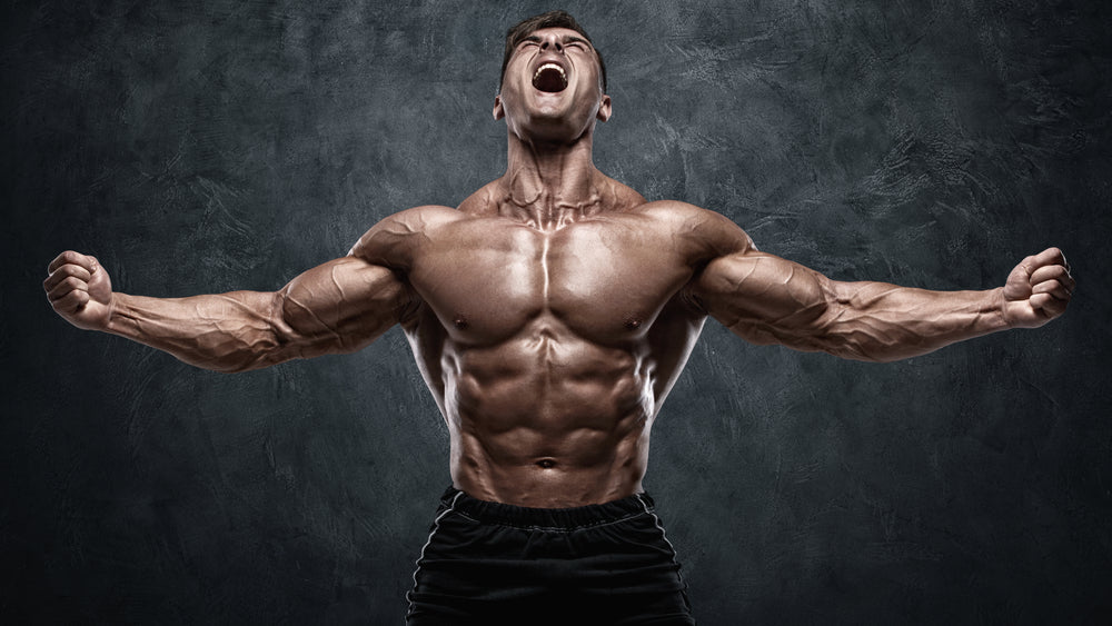 Best Training Split for Recovery and Longevity