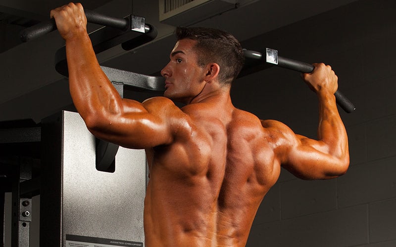 Best Split for Back Development